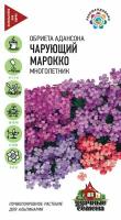 Удачные семена Обриета Чарующий Марокко 0,05 гр