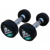 Набор гантелей неразборных DFC Powergym DB002 2х2 кг