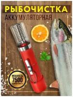 Рыбочистка аккумуляторная