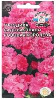 Семена цветов цветок Гвоздика Розовая королева (садовая, шабо, насыщенно-розовая) . Евро, 0