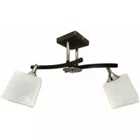 Люстра потолочная JUPITER LIGHTING N10-3324/2, E27, 2х60 Вт