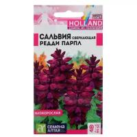 Семена цветов Сальвия "Редди Парпл", сверкающая, Сем. Алт, ц/п, 5 шт (1шт.)