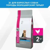 Корм для собак Eukanuba Dog Yorkshire Terrier сухой для взрослых собак породы йоркширский терьер от года, 2 кг