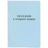 Бланк документа "Вкладыш в трудовую книжку", 88х125 мм, гознак серия 2023 год