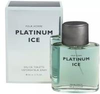 Кпк-парфюм Platinum Ice men 100 ml edt