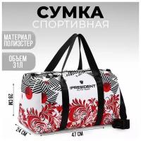 Сумка спортивная