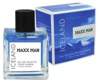 Delta PARFUM / Мужская туалетная вода MAXX MAN ICELAND 100 мл/Мужской парфюм