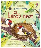 Usborne Peep Inside A Bird's Nest