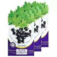 Саше ароматическое Greenfield Black Currant Черная смородина 15 г, 3 саше