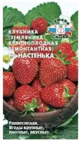 Семена Клубника F1 настенька (крупноплодная ремонтантная земляника), СеДеК, 15 шт