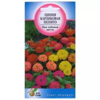 "Цинния карликовая Пепито, 35 семян"