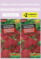 Семена Тысячелистник Вишневая королева, 2 упаковки + 2 Подарка