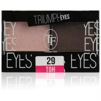 TF Cosmetics Тени для век Eyes 29 пыльный розовый и шоколад