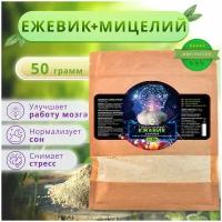 Ежевик (ежовик) гребенчатый + мицелий / Герициум / Lions mane / порошок 50 гр