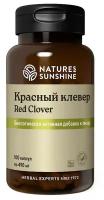 Красный клевер НСП / Red Clover NSP, 100 капсул