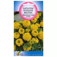 "Бархатцы (Тагетес прямостоячий) Купидон желтые, 70 семян"
