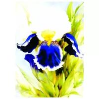 Репродукция на холсте Ирис (Iris) №3 Виттар Риан 30см. x 42см