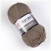 Пряжа Yarnart Merino Bulky 218