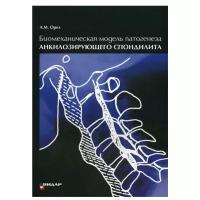 Биомеханическая модель патогенеза акилозирующего спондилита