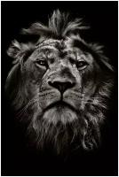 Картина на стекле «Мудрый лев» 40х60 см