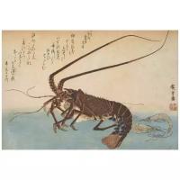 Репродукция на холсте Креветки (1832-1833) (Woodblock print from the Large Fish Series: Ise-ebi: Crawfish or Spiny Lobster and Ebi: shrimp) Утагава Хиросигэ 74см. x 50см