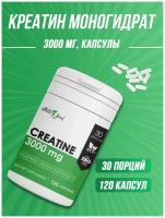 Креатин моногидрат микронизированный Atletic Food Micronized Creatine 3000 mg, 120 капсул