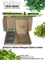 Микрозелень для выращивания Набор Fresh Greens (Капуста белокочанная Мицуна Кресс-салат)