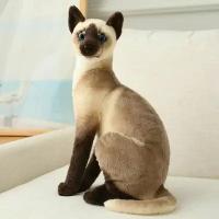 Мягкая игрушка Сиамская кошка, 40 см, подарок, на день рождение