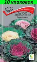 Семена Капуста декоративная Смесь окрасок 10уп по 0,25г (Поиск)