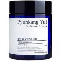 Крем увлажняющий и восстанавливающий для лица Pyunkang Yul Moisture Cream