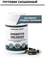 Грибной порошок Трутовик скошенный NATURAL WAVE в капсулах 60 шт. чага гриб березовый, мицелий, регулирует уровень гормонов