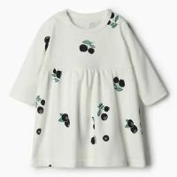 Bloom Baby Платье Bloom Baby Черники с дл. рукавом, р. 86 см, молочный