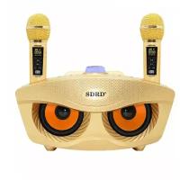 OWL SDRD SD 306 Plus (Gold) - домашняя блютус-караоке система с двумя перезаряжаемыми радиомикрофонами, изменение голоса, Bluetooth