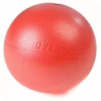 Мяч Orto Over Ball с BRQ 25cm