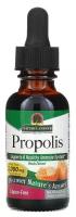 Nature's Answer Propolis Extract (Экстракт прополиса) 2000 мг 30 мл