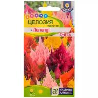 Семена цветов Целозия Лилипут смесь перистая, О, цп, 0,1 г
