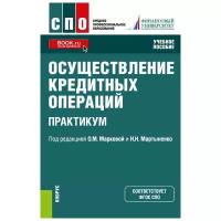 Маркова О. М., Мартыненко Н. Н., Лаврушин О. И Морозко Н. И Диденко В. Ю Шаталова Е. П Авис О. У Рудакова О. С Соколинская Н. Осуществление кредитных операций. Практикум. Учебное пособие. Среднее профессиональное образование (СПО)