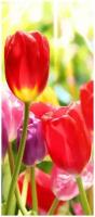Самоклеящиеся фотообои "Тюльпаны", размер: 90x210 см