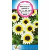"Хризантема Звезда Востока, 55 семян"
