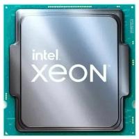 Процессор Intel Xeon E-2378G tray (CM8070804494916)