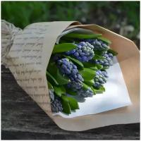 Цветы живые букет из 9 синих гиацинтов в крафт-бумаге