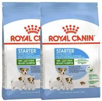 ROYAL CANIN MINI STARTER для щенков маленьких пород до 2 месяцев, беременных и кормящих сук (3 + 3 кг)