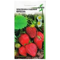 "Земляника садовая Фреска, 30 семян"