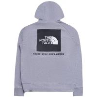 Толстовка The North Face M Raglan Red Box Hoodie Light Grey Heather