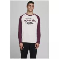 Лонгслив Jack & Jones 12172365