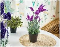 Элитные искусственные цветы лаванда в горшочке, пластик, цвет-лиловый, 18x18x38 см, Kaemingk