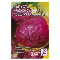 Семена Капуста краснокочанная "Поздняя красавица", 0,5г