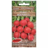 Семена Редис "Мария", F1, 1 г