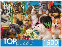 Пазл TOP Puzzle 1500 деталей: Компания щенков в саду