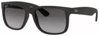 Ray Ban RB4165 601/8G 067078